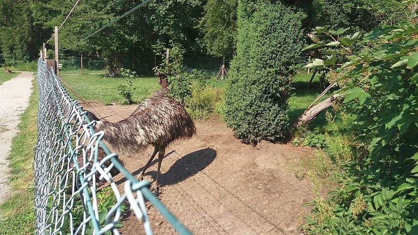 Unterwegs mit dem Verband der Behinderten