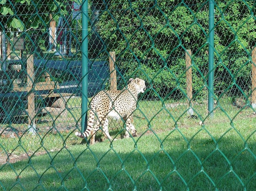 Unterwegs mit dem Verband der Behinderten