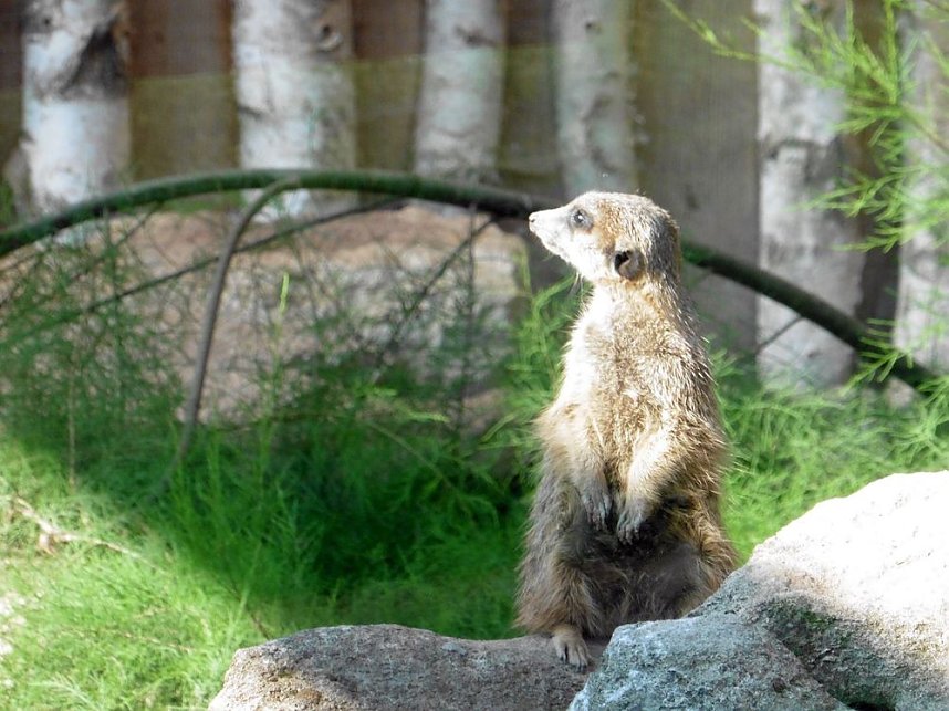 Unterwegs mit dem Verband der Behinderten