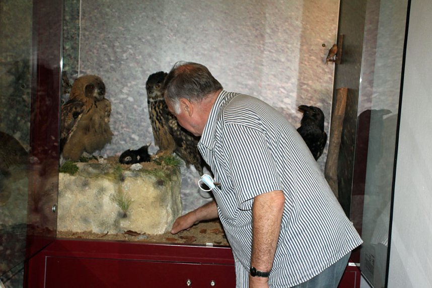 Uhus f&uuml;r das Schlossmuseum