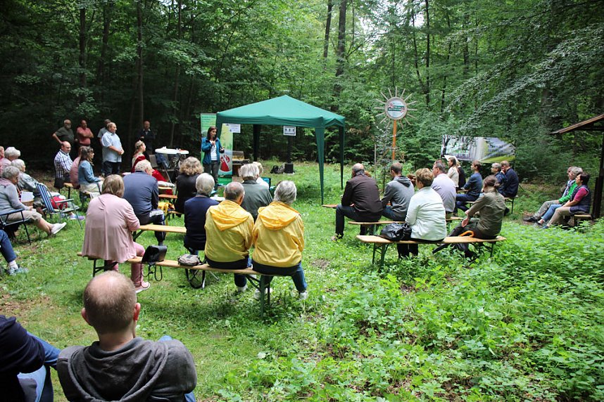 Blutbuchenk&ouml;nigin bleibt l&auml;nger im Amt