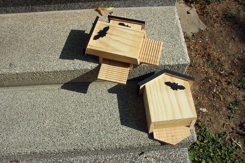 Natura 2000 Station besucht