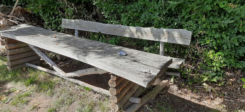 Vertrocknete B&auml;ume, B&auml;nke und mehr