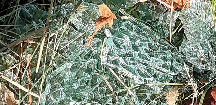 Dies und das aus Sondershausen