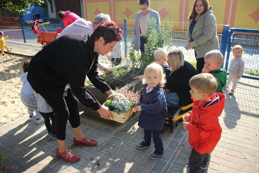 Herbstputz und Herbstpflanzung in Stocksen
