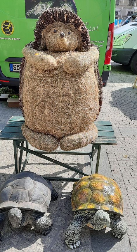 Pflanzenmarkt in Sondershausen gut besucht