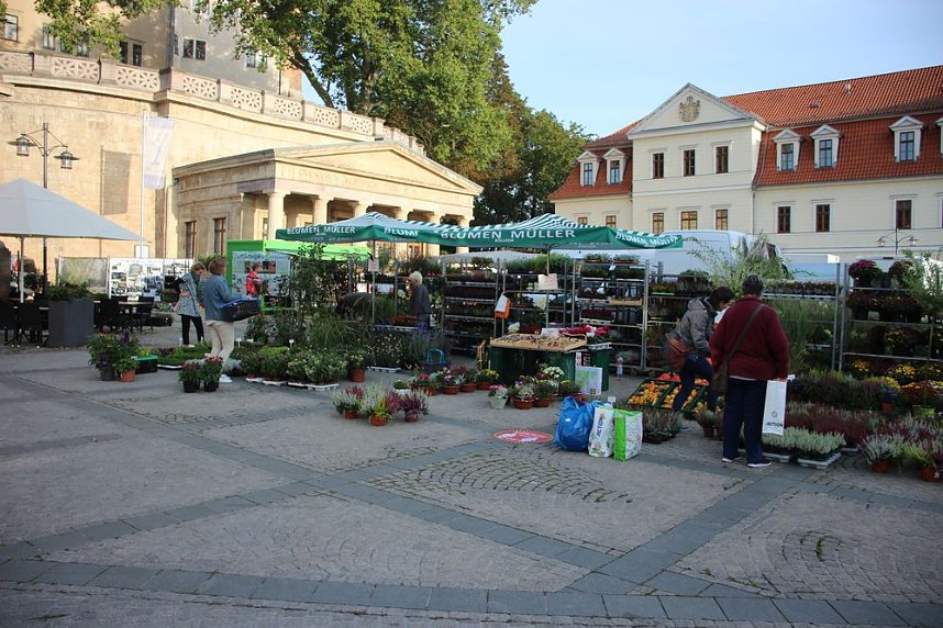 Pflanzenmarkt in Sondershausen gut besucht
