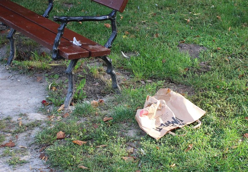 Gang durch den Schlosspark