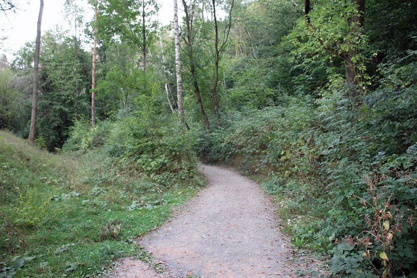 Unternehmer in der Hohen Schrecke