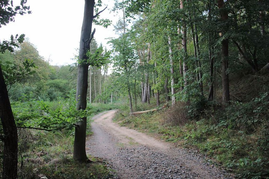 Unternehmer in der Hohen Schrecke