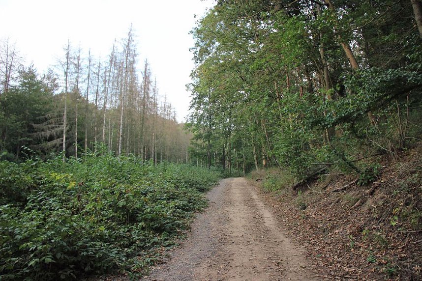 Unternehmer in der Hohen Schrecke