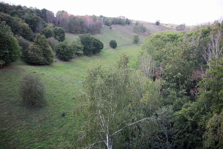 Unternehmer in der Hohen Schrecke