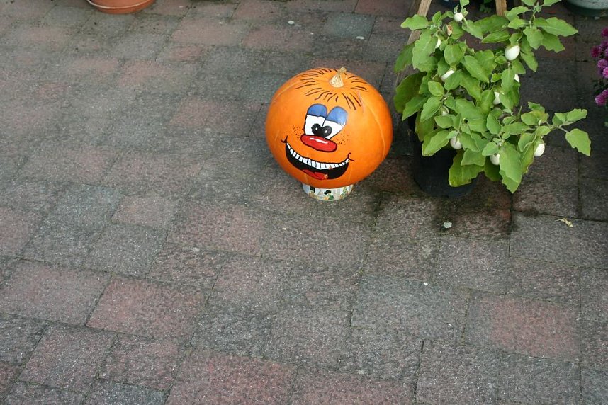 K&uuml;rbisse &uuml;ber K&uuml;rbisse