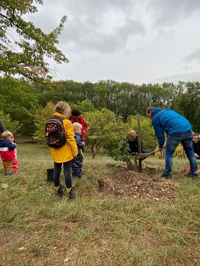 Sollen wir oder sollen wir nicht?