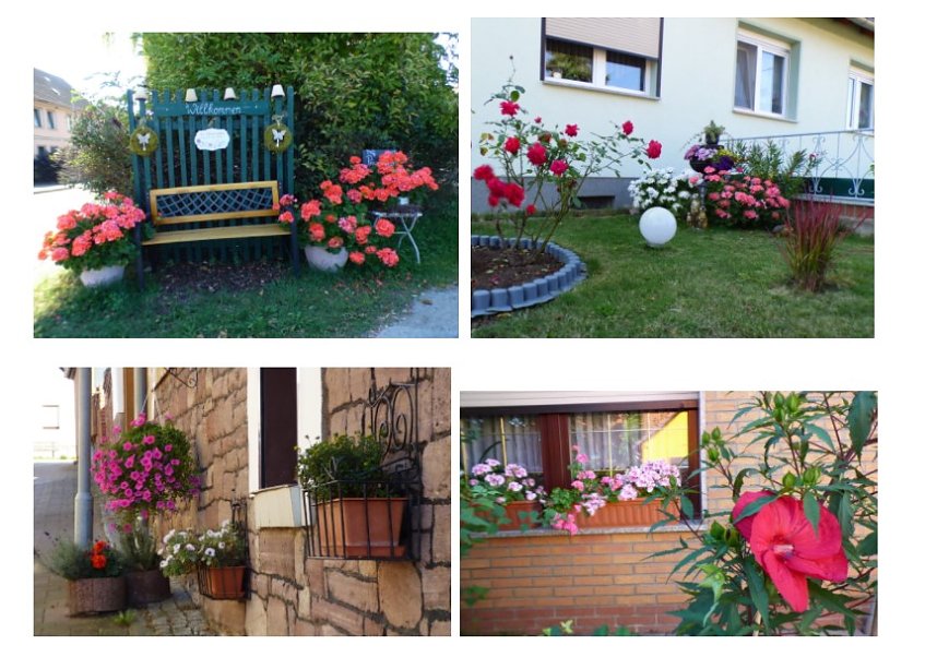 Gro&szlig;e Beteiligung am 26. "Frankenh&auml;user Blumensommer" 2020