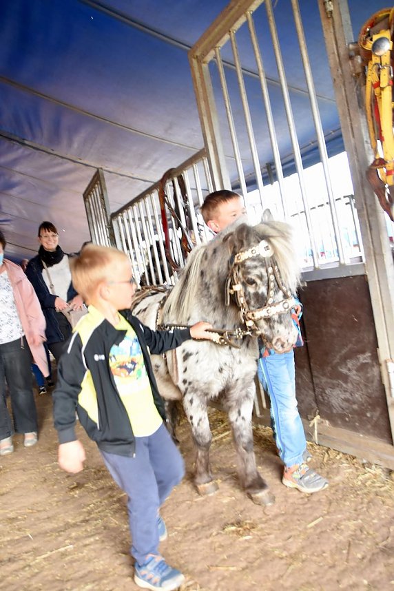 Circus Atlantik am Scheunenhof