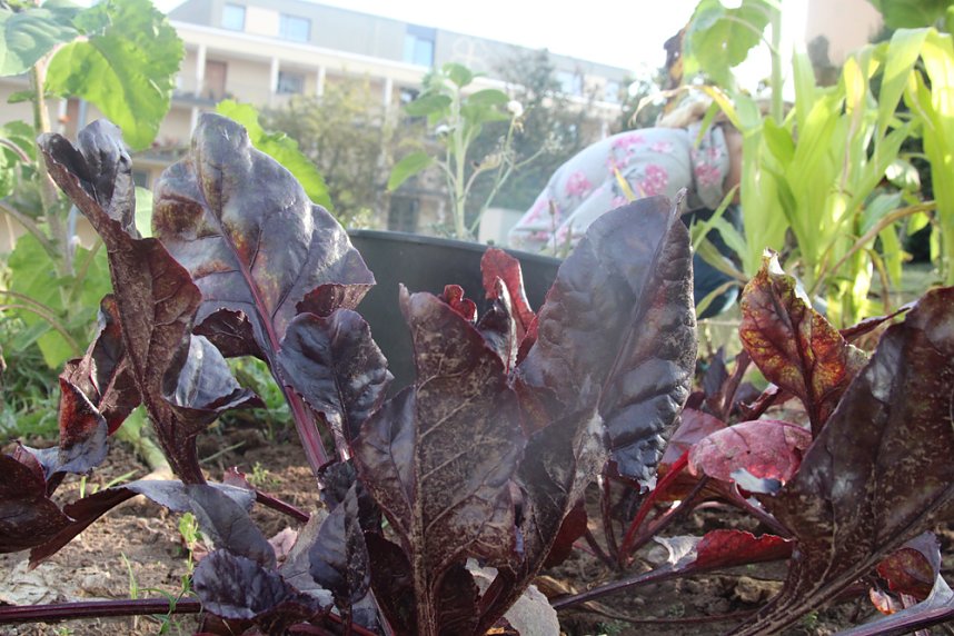 F&uuml;r eine lebendige und zukunftsf&auml;hige Stadt