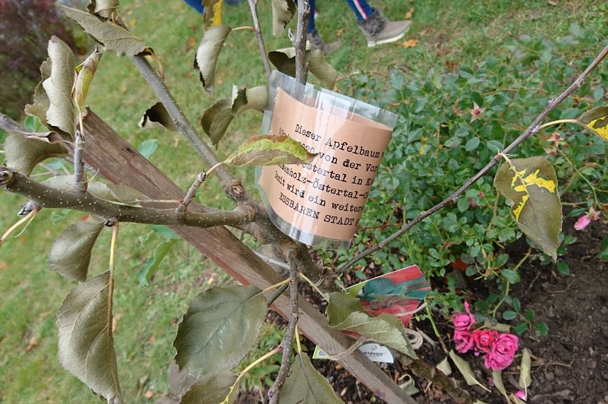Ein Apfelbaum f&uuml;r den Spielplatz