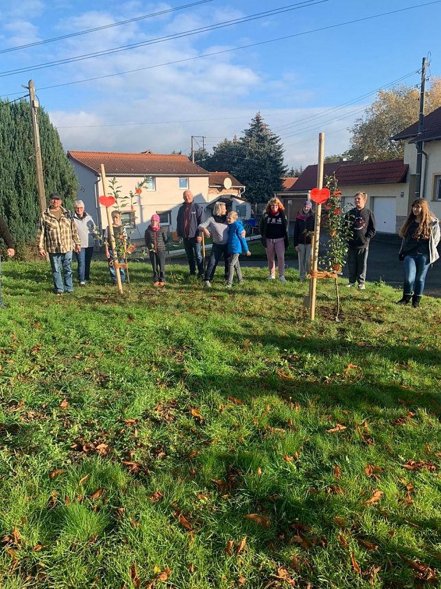 B&auml;ume gepflanzt