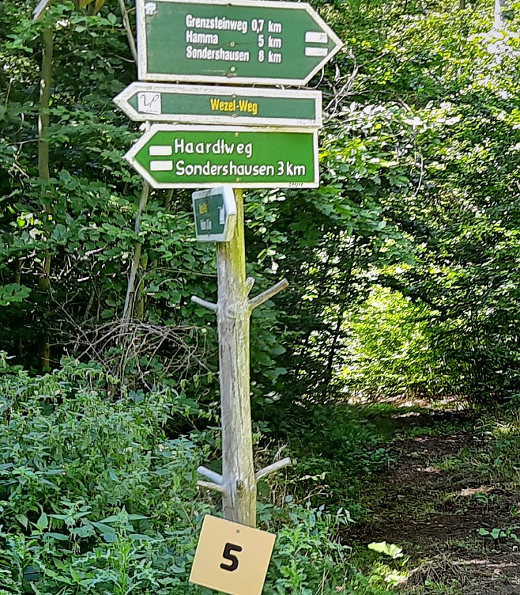 In Scharen in die Natur