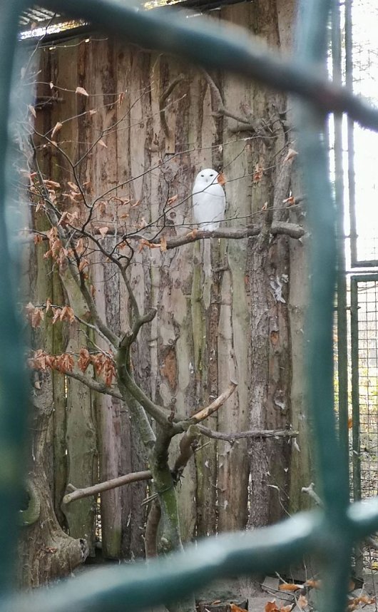 Tagesausflug zum Hexentanzplatz 