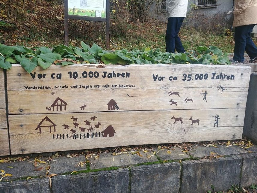 Besuch im Alternativen B&auml;renpark in Worbis