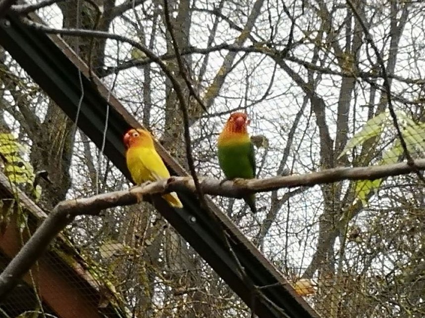 Besuch im Alternativen B&auml;renpark in Worbis