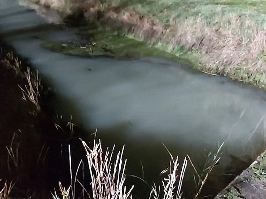 Gro&szlig;einsatz wegen Gew&auml;sserverunreinigung