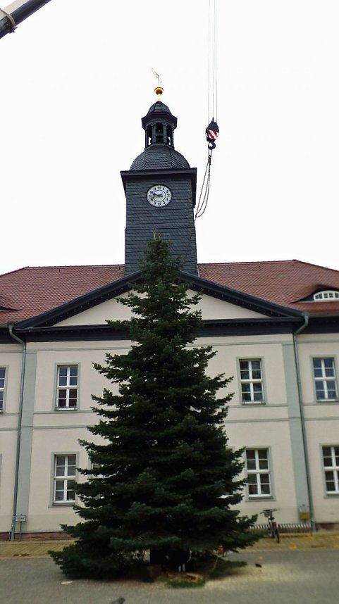 Weihnachtsmeldungen aktuell