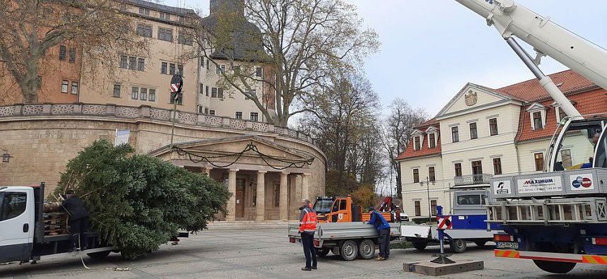 Auch in Sondershausen steht der Weihnachtsbaum