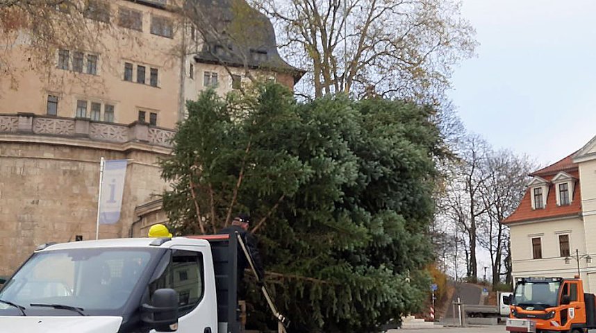 Auch in Sondershausen steht der Weihnachtsbaum