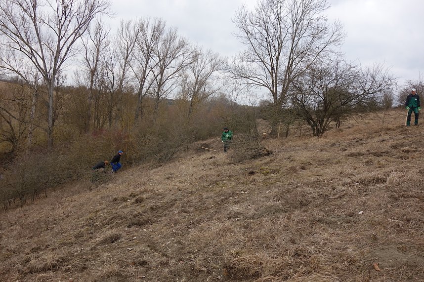 Landschaftsg&auml;rtner bei der Arbeit