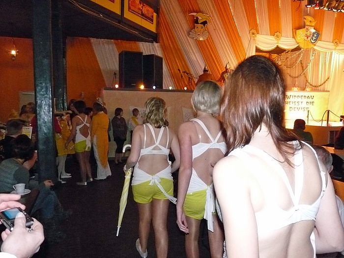 Senioren-Fasching Stocksen