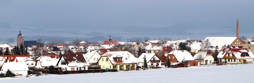 Winterimpressionen aus der Goldenen Aue