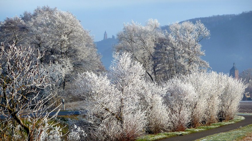 Winterimpressionen aus der Goldenen Aue