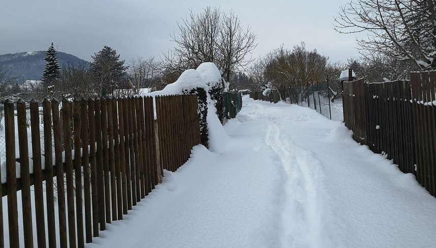 Ansichten eines Sondersh&auml;users