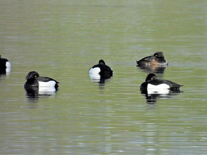 Ausfl&uuml;ge am Kiesschacht
