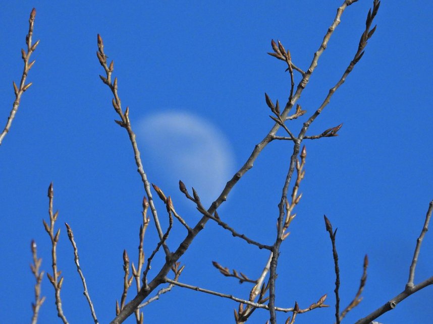 Ausfl&uuml;ge am Kiesschacht