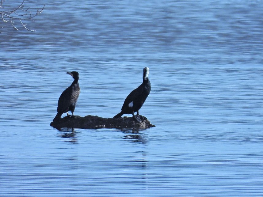 Ausfl&uuml;ge am Kiesschacht