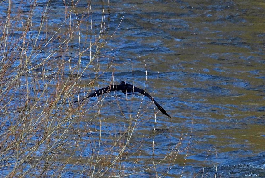 Ausfl&uuml;ge am Kiesschacht