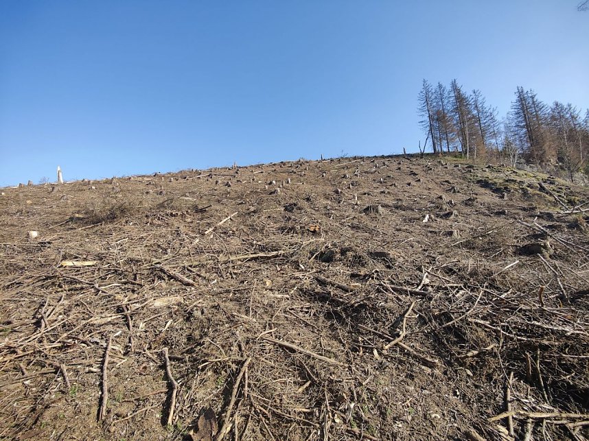 Osterspaziergang mit Peter Blei
