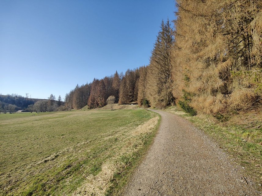 Osterspaziergang mit Peter Blei