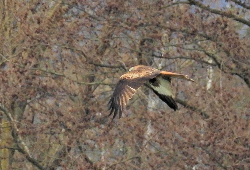 Peter Blei unterwegs am Stausee Kelbra