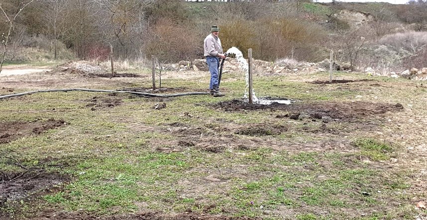 B&auml;ume auf Streuobstwiese in Topfstedt werden angegossen