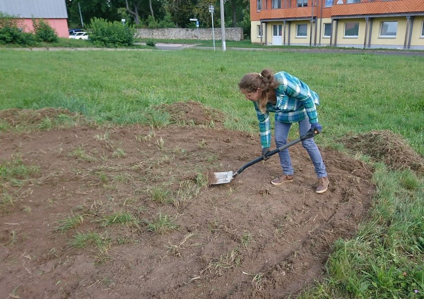 Projekt Essbare Stadt