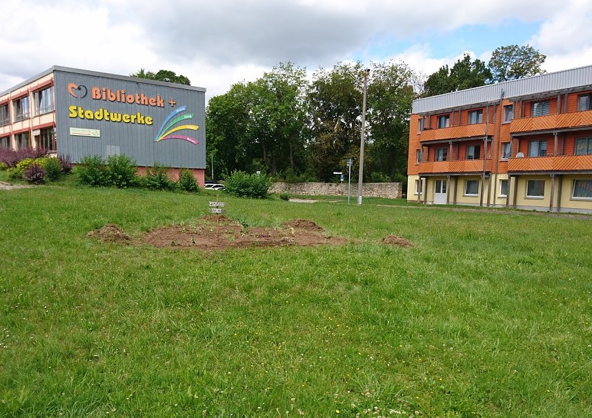 Projekt Essbare Stadt