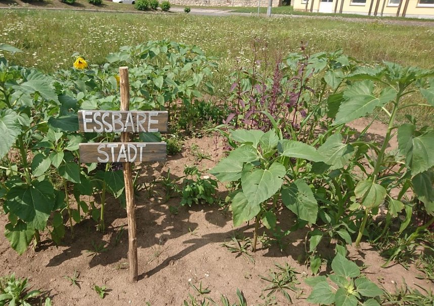 Projekt Essbare Stadt