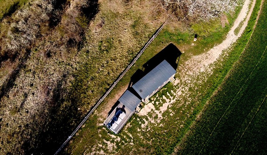 Neustadt und seine Holzlok