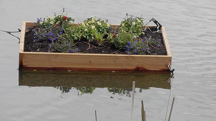 Schwimmende G&auml;rten 