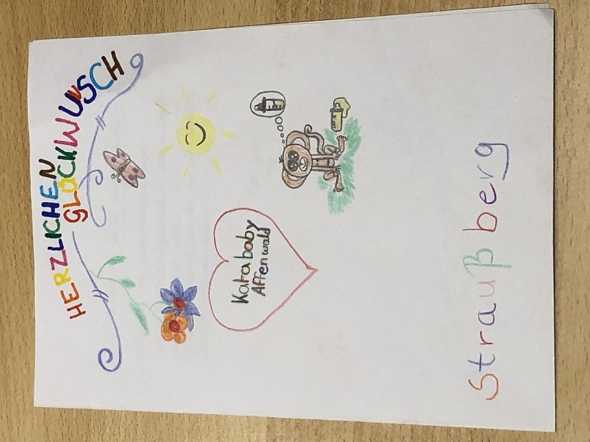 Eine ganze Reiher wundersch&ouml;ner Karten kam gestern im Affenwald an